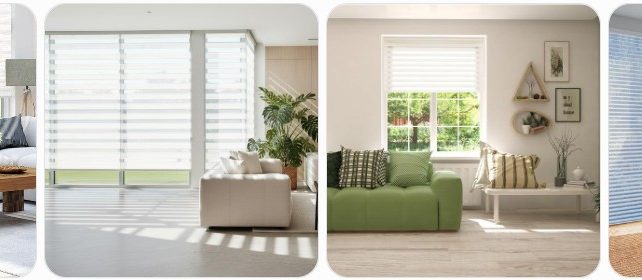 Daylight Blinds Buying Guide: Where to Buy, Pros/Cons & Cost
