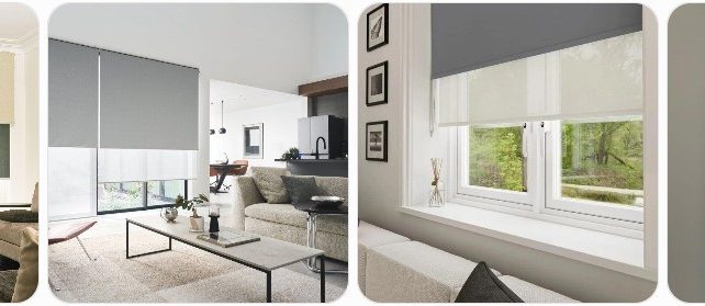 Double Roller Blinds Buying Guide: Where to Buy, Pros/Cons & Cost Double Roller Blinds Buying Guide: Where to Buy, Pros/Cons & Cost