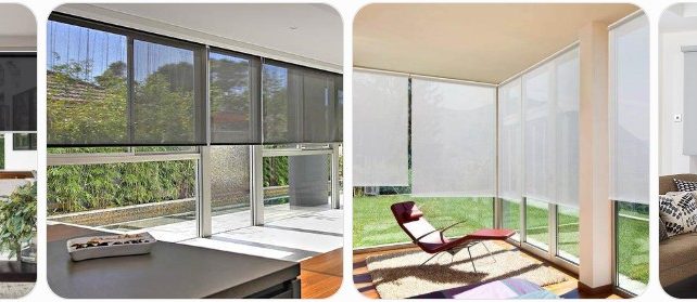 Screen Blinds Buying Guide: Where to Buy, Pros/Cons & Cost Screen Blinds Buying Guide: Where to Buy, Pros/Cons & Cost