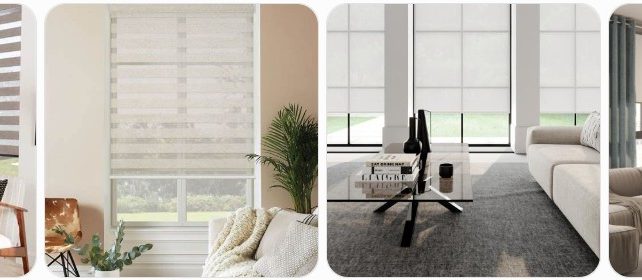 Vision Blinds Buying Guide: Where to Buy, Pros/Cons & Cost Vision Blinds Buying Guide: Where to Buy, Pros/Cons & Cost