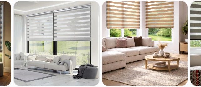 Zebra Blinds Buying Guide: Where to Buy, Pros/Cons & Cost Zebra Blinds Buying Guide: Where to Buy, Pros/Cons & Cost