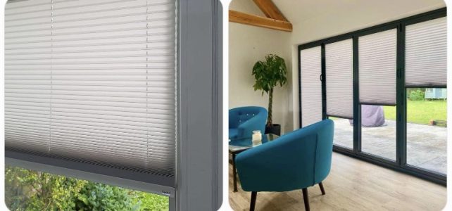 Intu Blinds Buying Guide: Where to Buy, Pros/Cons & Cost