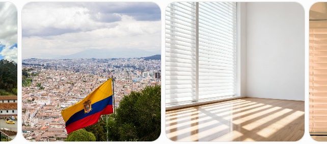 Window Blinds in Ecuador: Where to Buy, Installation, Repairs Window Blinds in Ecuador: Where to Buy, Installation, Repairs