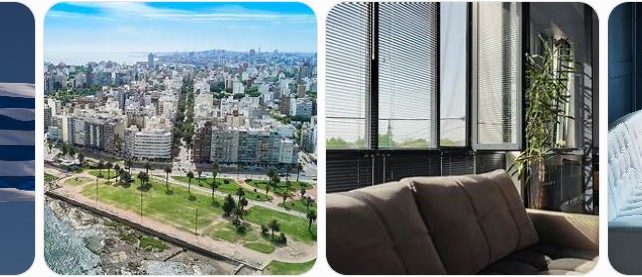 Window Blinds in Uruguay: Where to Buy, Installation, Repairs